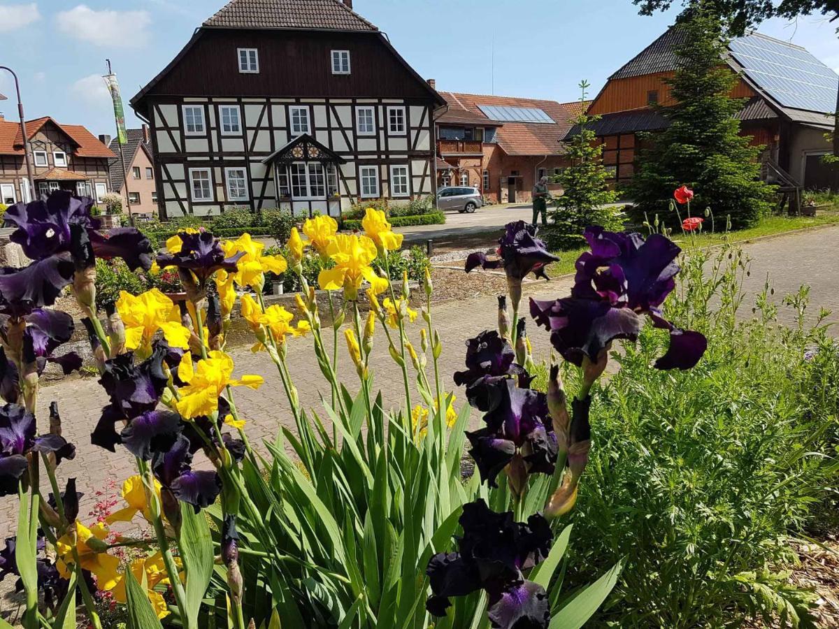 Muellers Hof Ferienwohnung/Pension Emmerthal Exterior photo